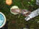 Benutzeravatar