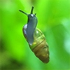 Benutzeravatar