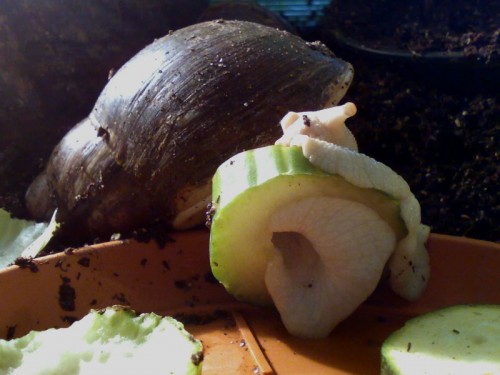 p19.jpg