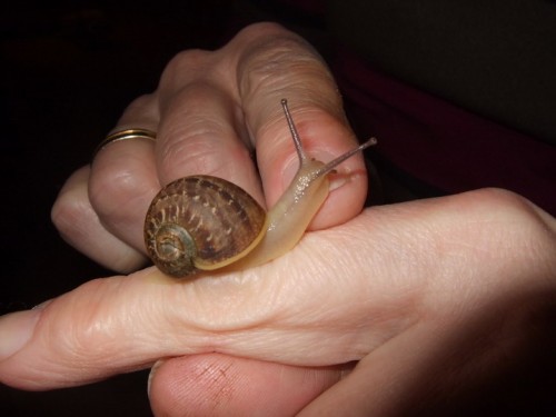 DSCF8123_Größe ändern_Größe ändern.JPG