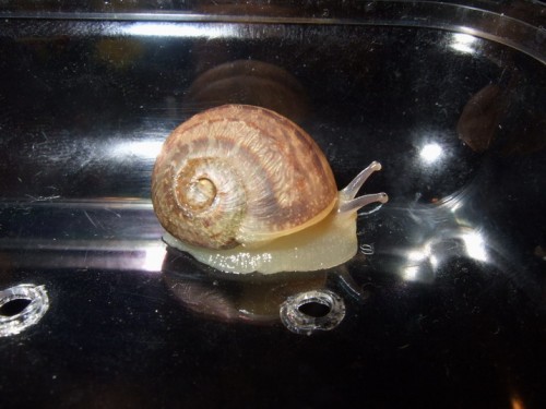 DSCF8088_Größe ändern_Größe ändern.jpg