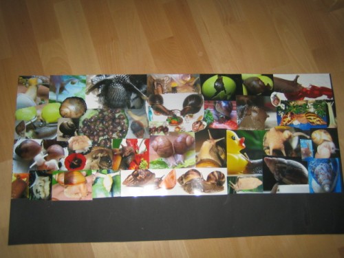 verschiedenes 064.JPG