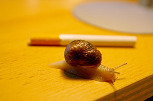 wilma-mit-zigarette.jpg