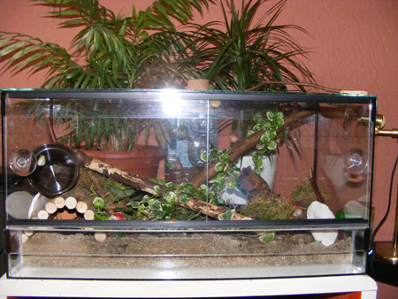 DSCF4883.jpg