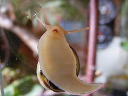 DSCF4815.jpg
