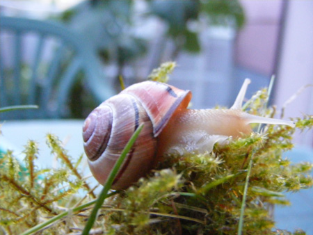 DSCF4558.jpg