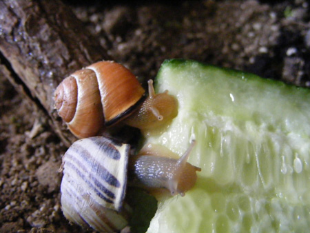 DSCF4584.jpg