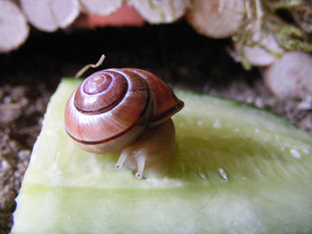 DSCF4591.jpg