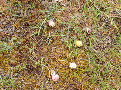 DSCF4889.jpg