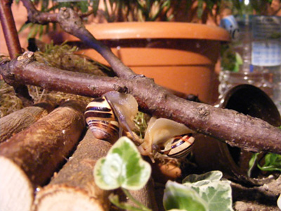 DSCF4935.jpg