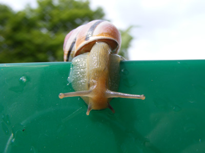 DSCF5032.jpg