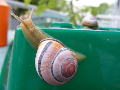 DSCF5043.jpg