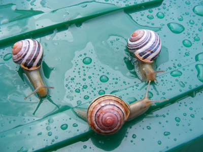 DSCF5070.jpg