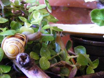 DSCF5093.jpg