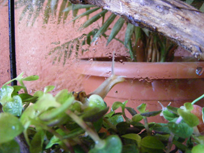 DSCF5107.jpg