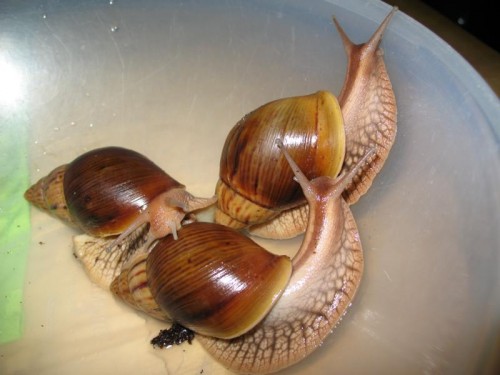 Bild 001.JPG