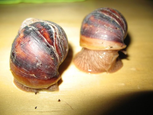 Bild 006.JPG