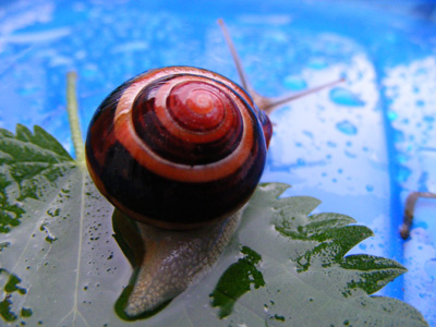 DSCF5268.jpg