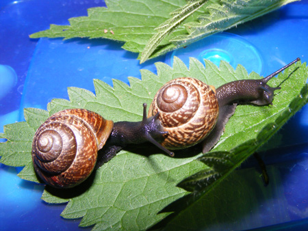 DSCF5226.jpg