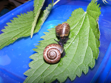 DSCF5231.jpg