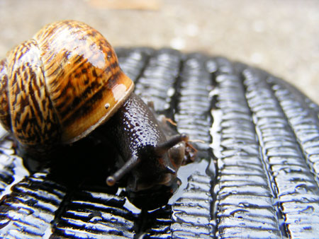 DSCF5383.jpg