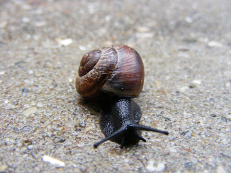DSCF5378.jpg