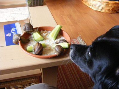 DSCF5425.jpg