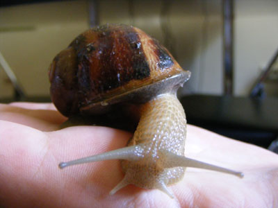 DSCF5486.jpg
