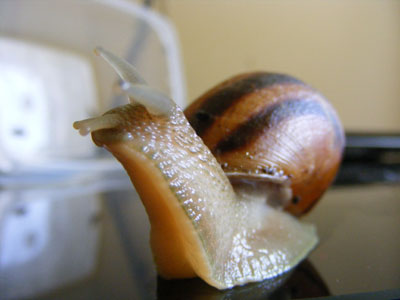 DSCF5502.jpg