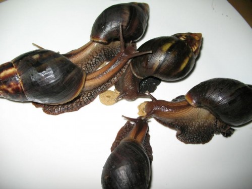 Bild 117.JPG