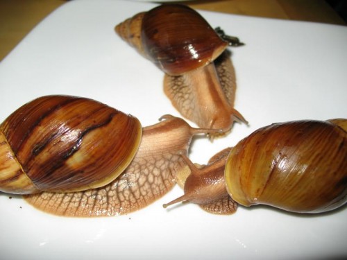 Bild 123.JPG