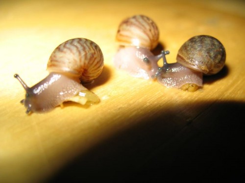Bild 134.JPG
