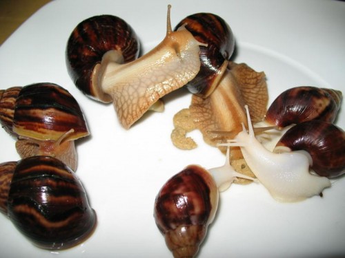 Bild 122.JPG