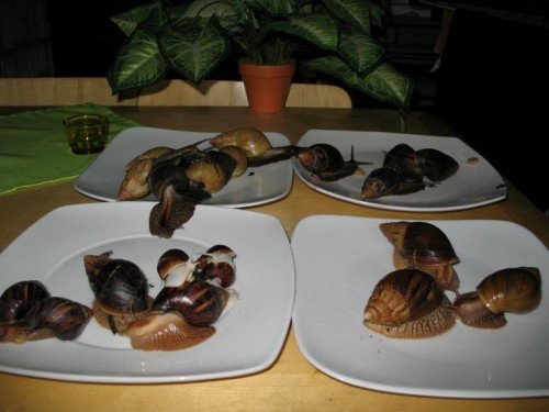 Bild 130.JPG