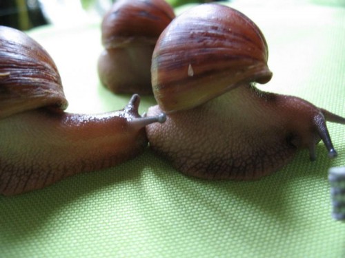 Bild 153.JPG
