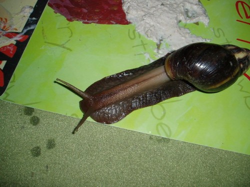 hfjhkl.jpg