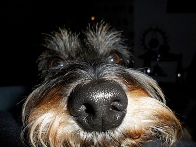 SAM_0114.JPG