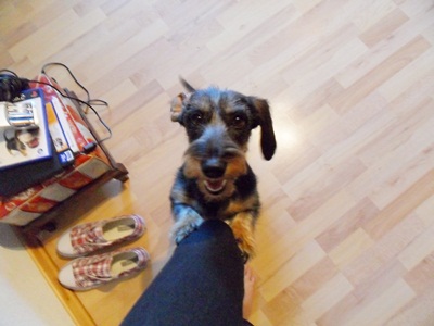 SAM_0122.JPG