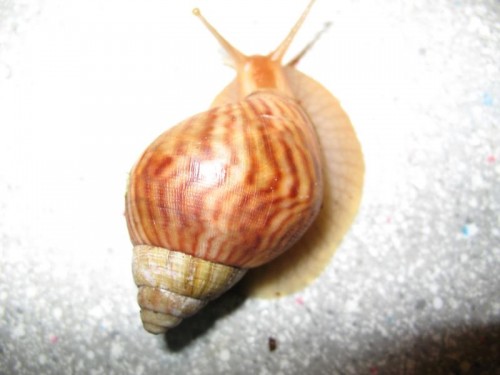 Bild 042.JPG