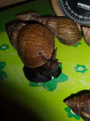 PA283977.jpg