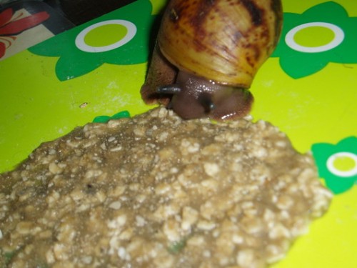 winfried.jpg