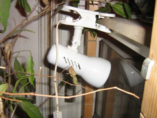 Lampe.jpg