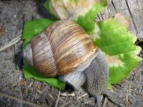 Bilder 2009 117.jpg