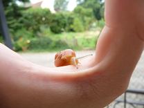 Bilder 2009 176.jpg