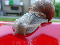 Bilder 2009 132.jpg