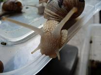 Bilder 2009 2280.jpg