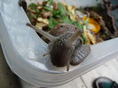 Bilder 2009 1577.jpg