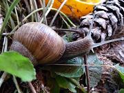 Bilder 2009 3438.jpg