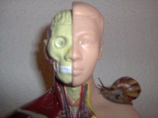 IM000829_320x240.JPG