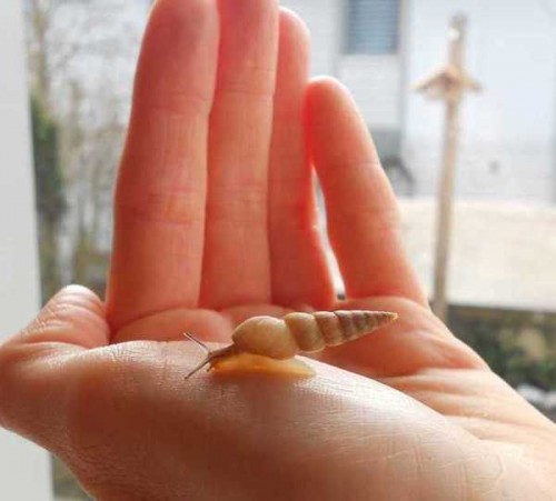 DSCN2618.JPG